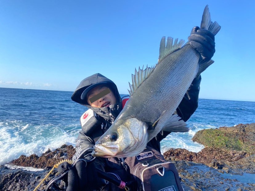 磯ヒラスズキ 磯ヒラスズキ
