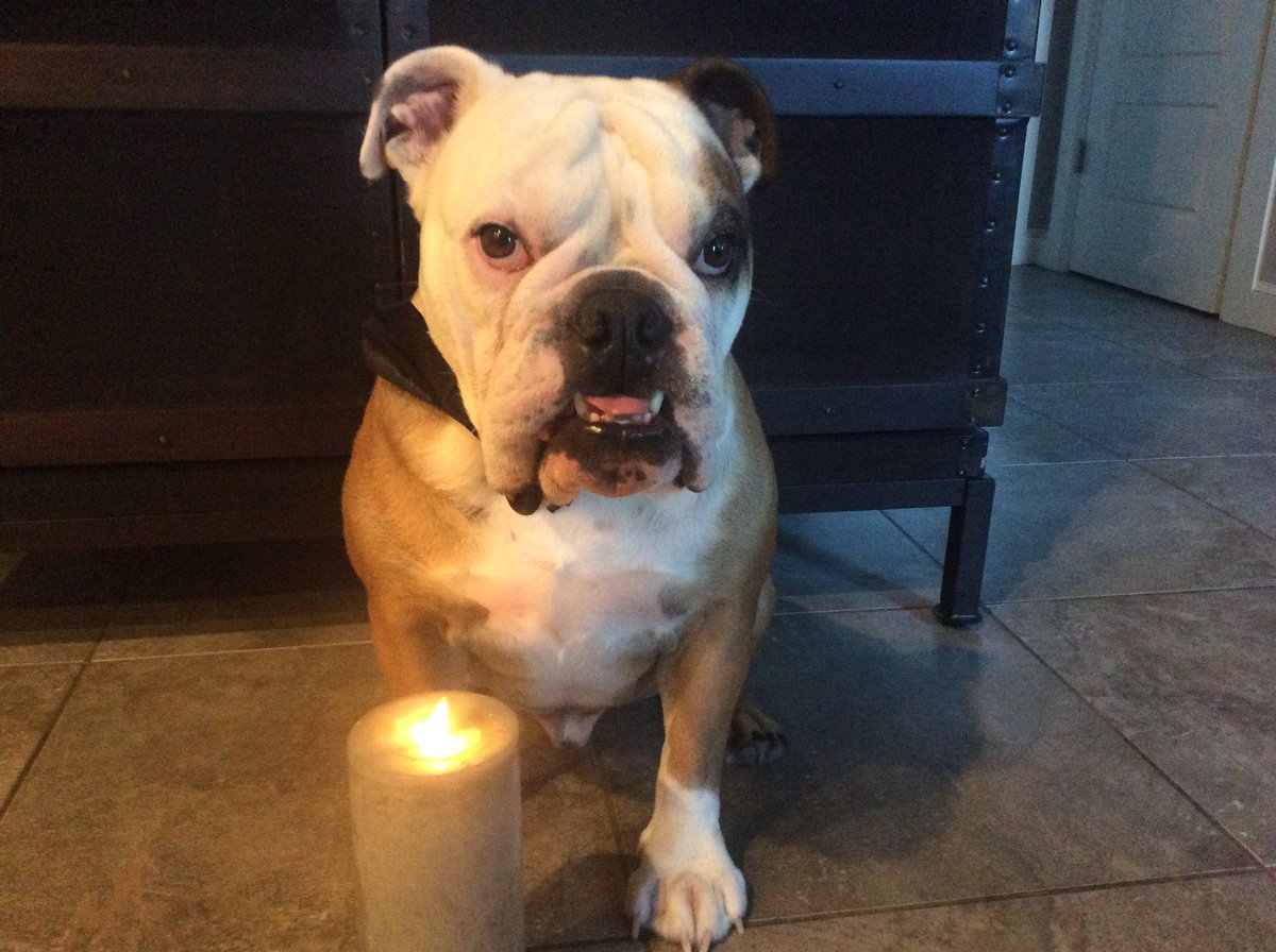 Please join me tonight in lighting a candle to honor Ammo <a href="/MissCamiFlage/">Cami Flage Lehman</a> ....😢💔