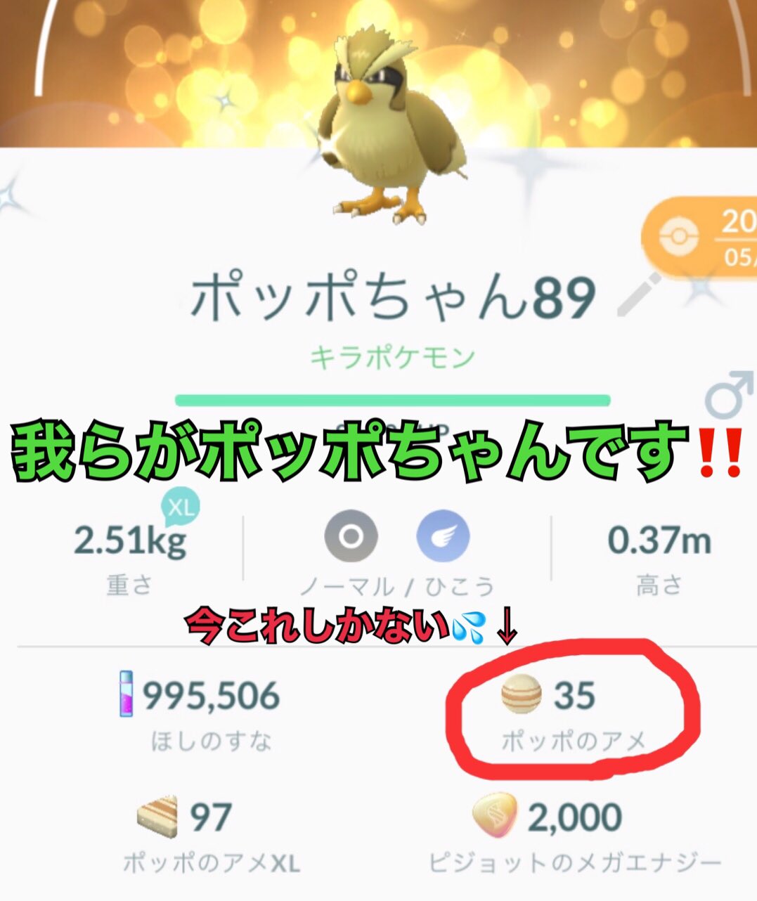 ふしぎなあめ Twitter Search Twitter