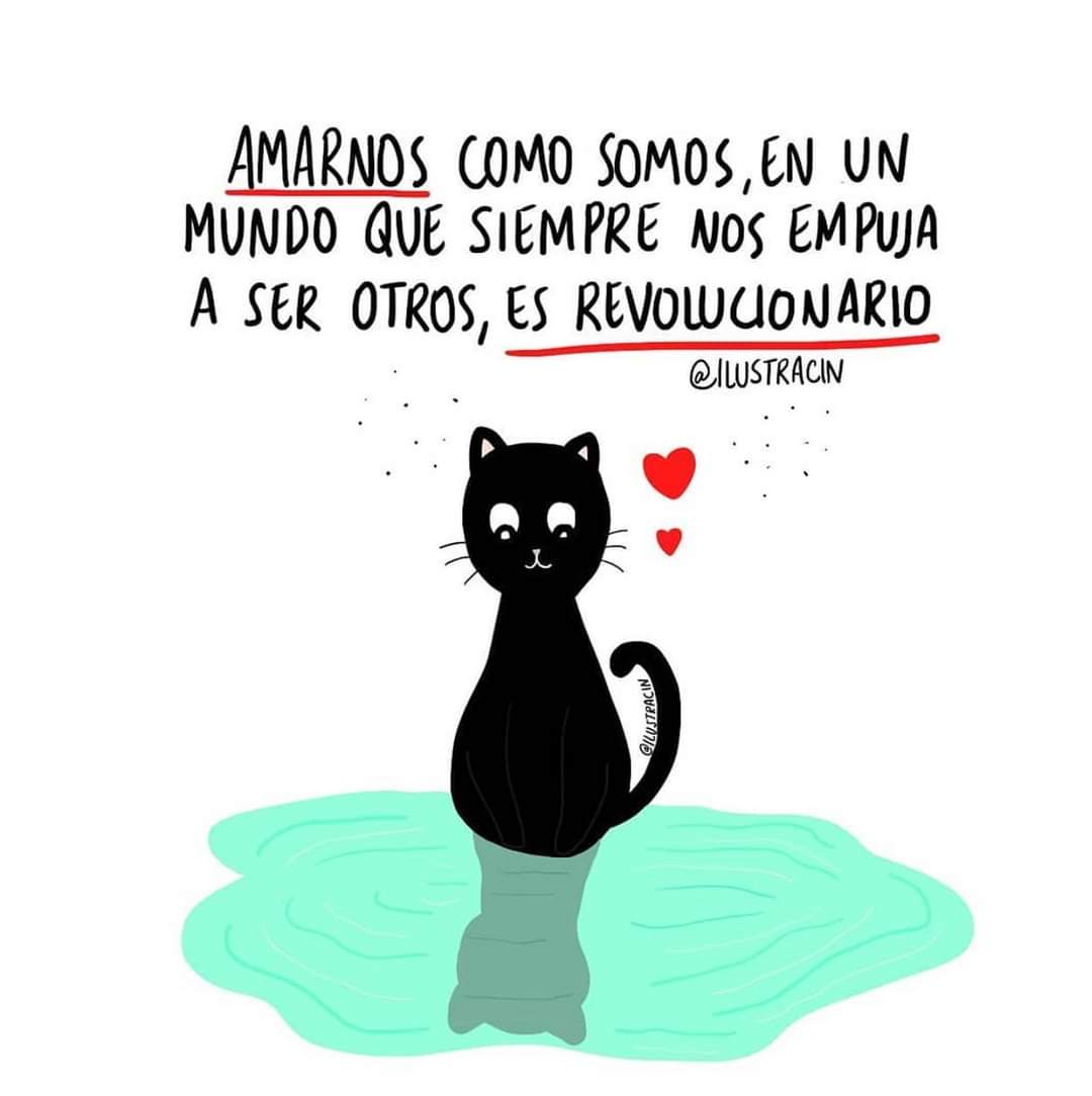 IreneHdzMorelos's tweet photo. Amarnos como somos
#AmorRevolucionario #AmorPropio #amorincondicional #amorinfinito https://t.co/QPxpCKhxSQ