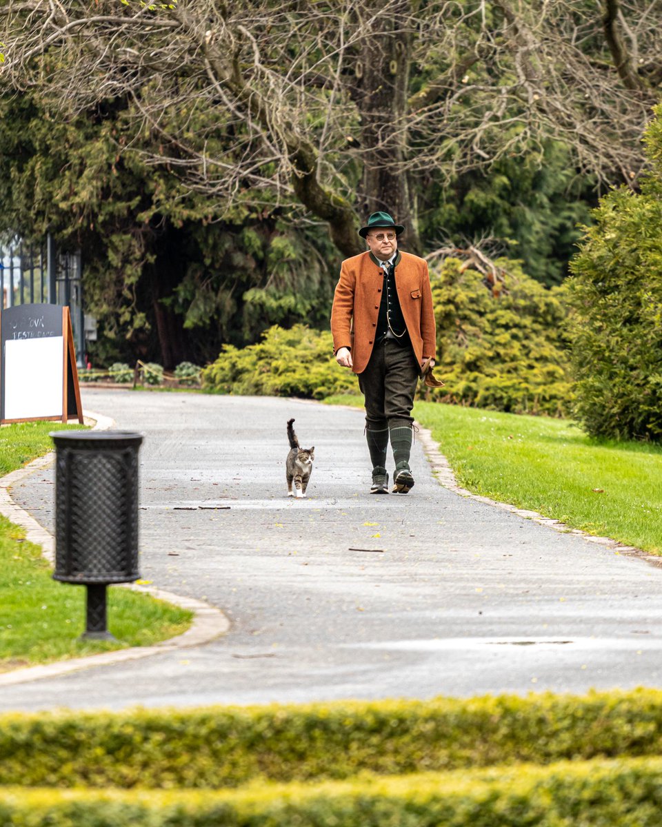 Человек и кошка