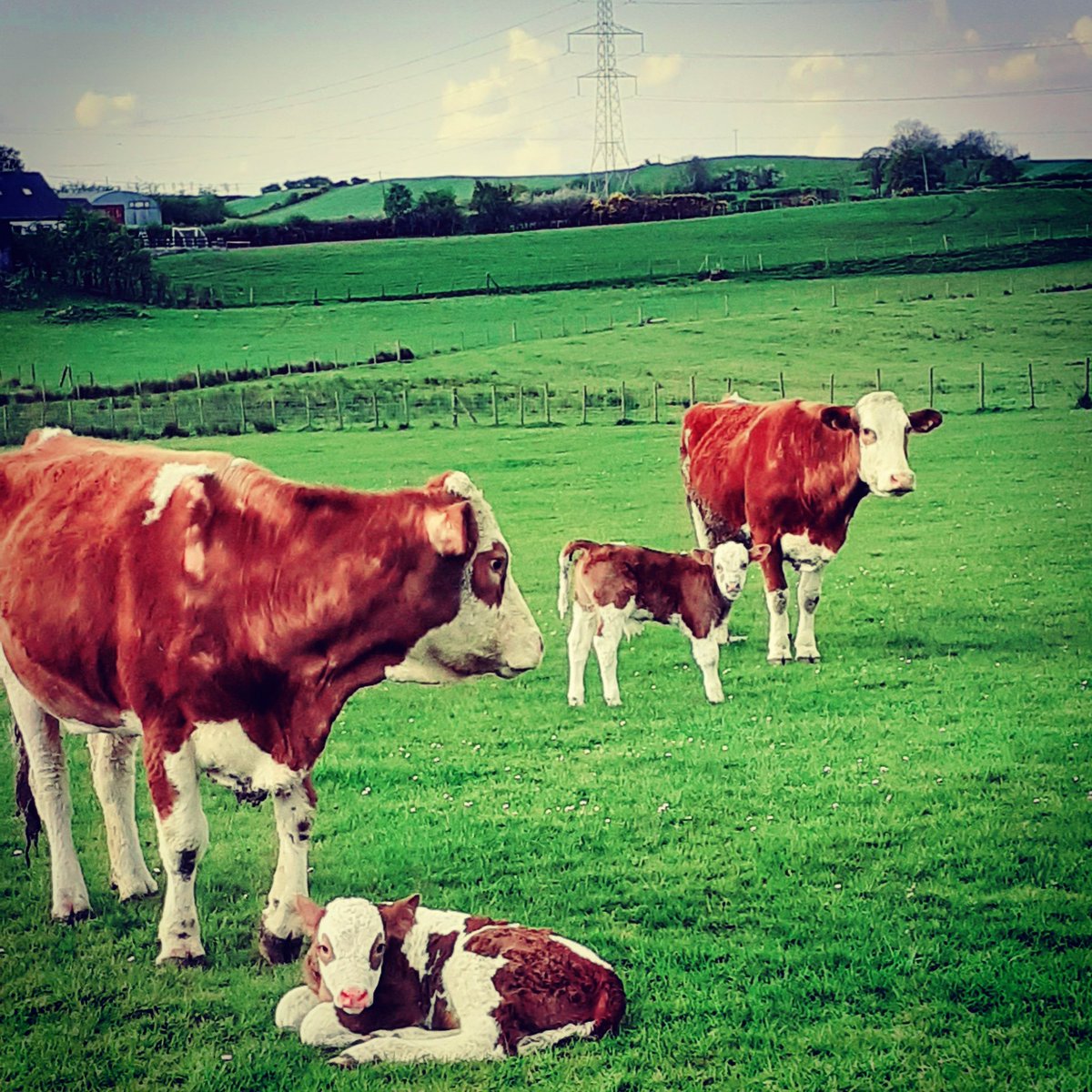 Seán Quinn (@seanquinn24) on Twitter photo The calm before the storm!
<a href="/BBCFarmingToday/">Farming Today</a>
<a href="/WeatherCee/">Cecilia Daly</a>
<a href="/angie_weather/">angie phillips</a>
<a href="/barrabest/">Barra Best</a>
<a href="/wearetrekni/">Trek NI</a>
<a href="/IrelandWalking/">The Ireland Walking Guide</a>
<a href="/HikingAutism/">Hiking Autism</a>
<a href="/Newryie/">Newry.ie</a>
<a href="/ArmaghI/">Armagh I</a>
@unawalsh54
<a href="/murphydes1/">Des Murphy #Ireland</a>
<a href="/autism_hand/">Run For Autism HAND</a> The calm before the storm!
<a href="/BBCFarmingToday/">Farming Today</a>
<a href="/WeatherCee/">Cecilia Daly</a>
<a href="/angie_weather/">angie phillips</a>
<a href="/barrabest/">Barra Best</a>
<a href="/wearetrekni/">Trek NI</a>
<a href="/IrelandWalking/">The Ireland Walking Guide</a>
<a href="/HikingAutism/">Hiking Autism</a>
<a href="/Newryie/">Newry.ie</a>
<a href="/ArmaghI/">Armagh I</a>
@unawalsh54
<a href="/murphydes1/">Des Murphy #Ireland</a>
<a href="/autism_hand/">Run For Autism HAND</a>
