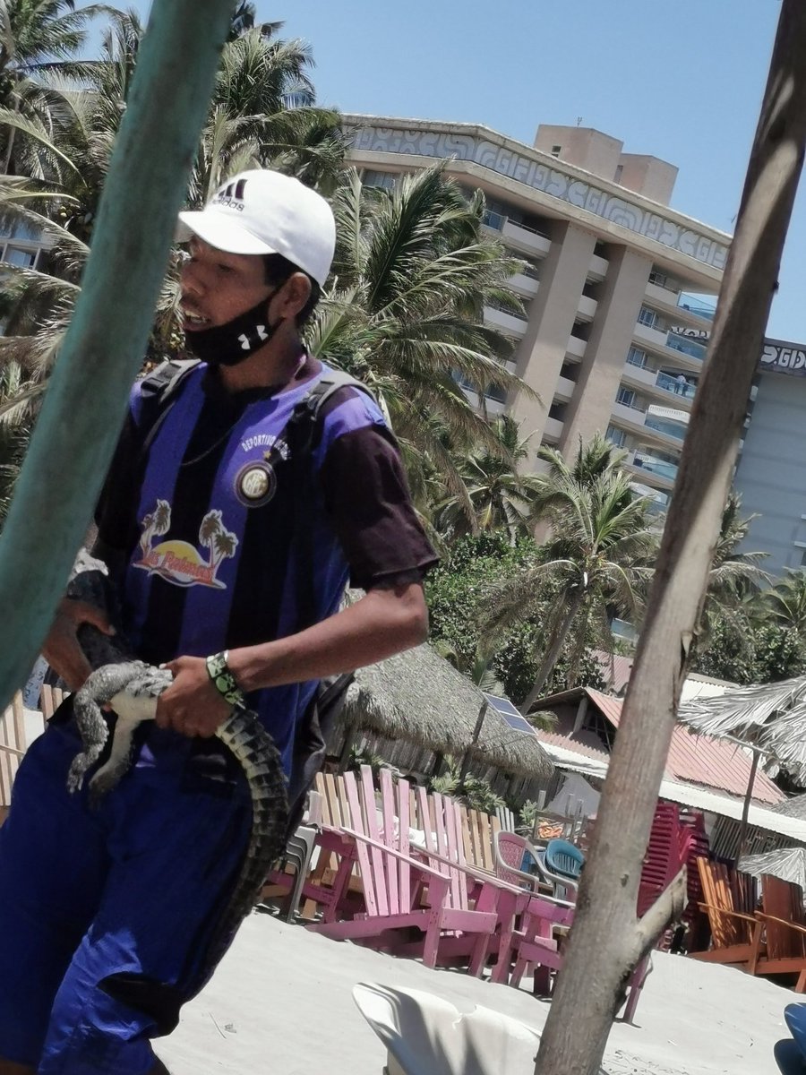 ponceabdiel's tweet photo. Aquí en Acapulco parece que la situación no va a mejorar con estos temas tan delicados. Echenme la mano con un rt para que se difunda https://t.co/ZHlWIZV4Xo