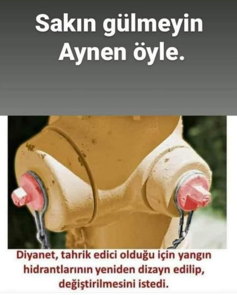 Bir.ülke düşünün Her şeyden tahrik olan bir diyaneti var çok şükür ki müslüman