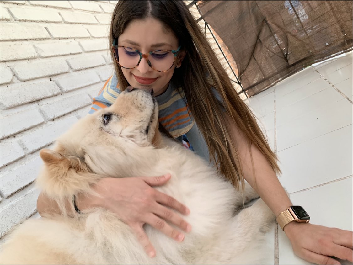 NoaTorrijos's tweet photo. ✨ https://t.co/KTAa5KgTQw