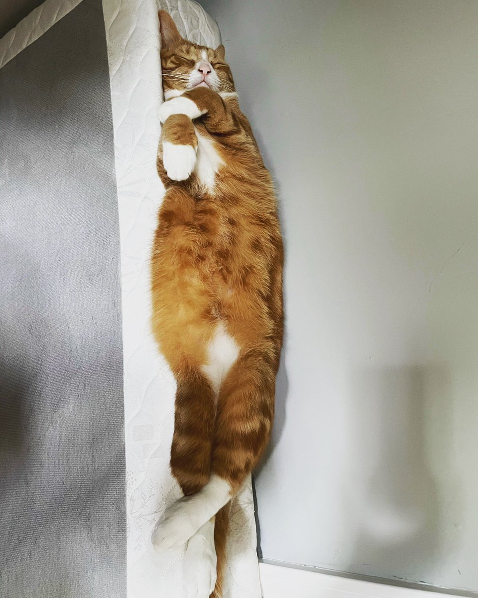 And you thought your life was hard....