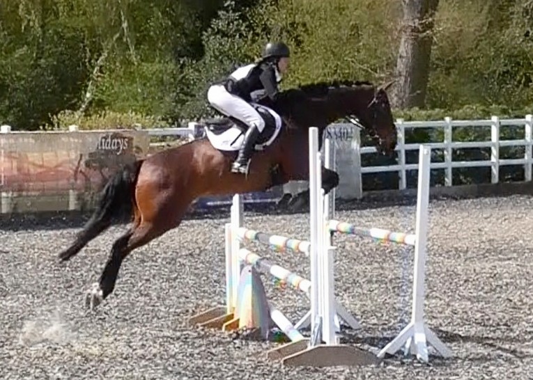 VetGoneEventing's tweet photo. Leo accidentally did his first 100+ today when the entry had gone in wrong (oops), 28 in N110 to lead, one rail in his first 1.10m SJ then stormed round XC a little too fast for 3rd. Starting to look more grown up ♥️ #YumovePlus @Glenwoodstud #TakeIt2TheLimit https://t.co/H4jfsKNSaW