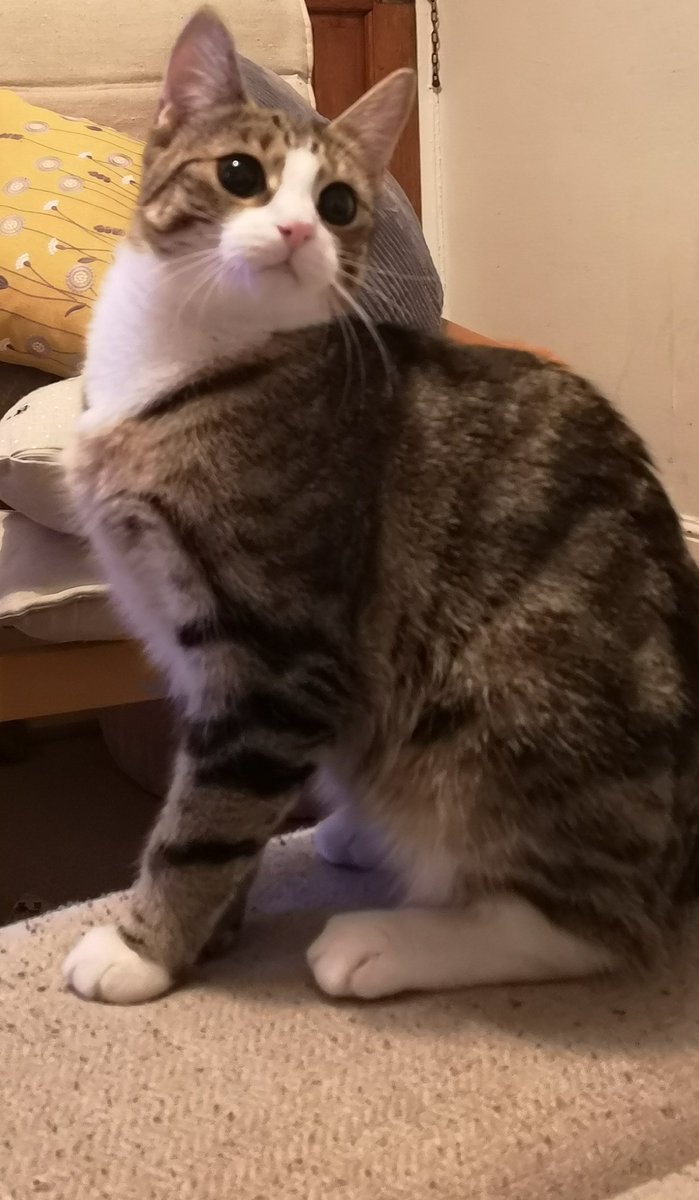 After realising the 4th man has gotten away with it #lineofduty 😹