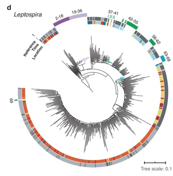 Lara Urban tweet media