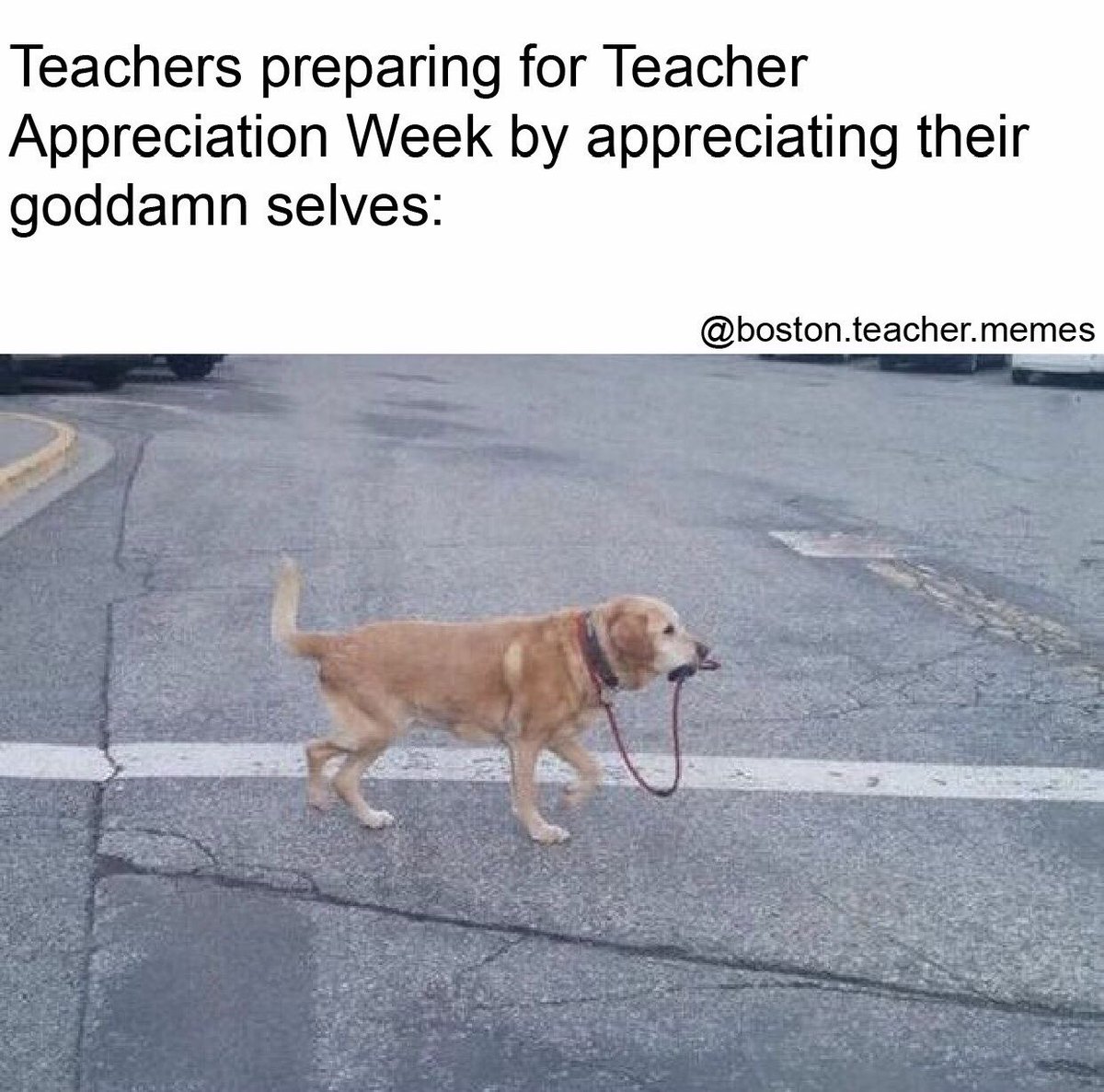 Boston Teacher tweet media
