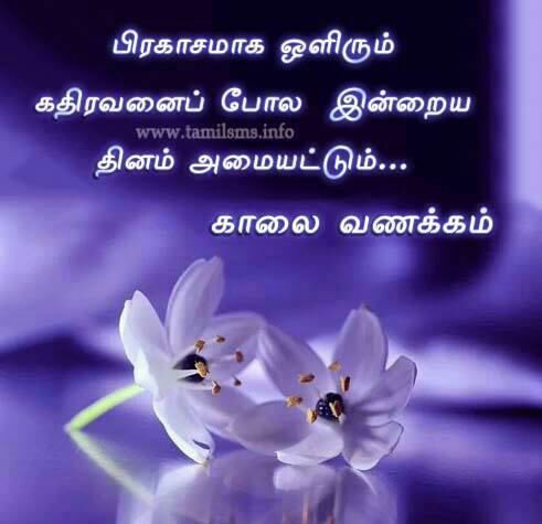 DSingaravadive1's tweet image. ஆட்சியில் யாரு வந்தாலும் அவரும் தமிழ்நாடு தானே