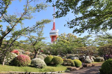 八幡山公園 桜 ツツジ 紅葉も綺麗な宇都宮の人気スポット とちのいち