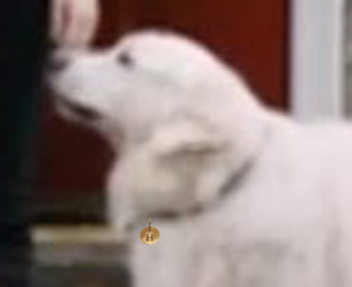 Dan Douglas tweet media