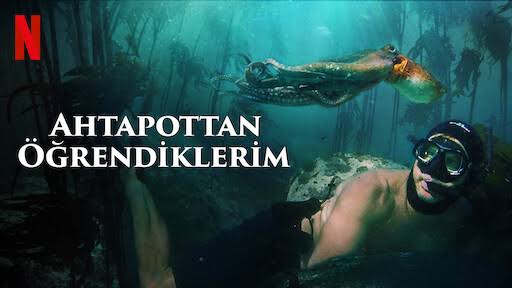 ''Ahtapottan Öğrendiklerim''  Güven,  sevginin başlangıcıdır.