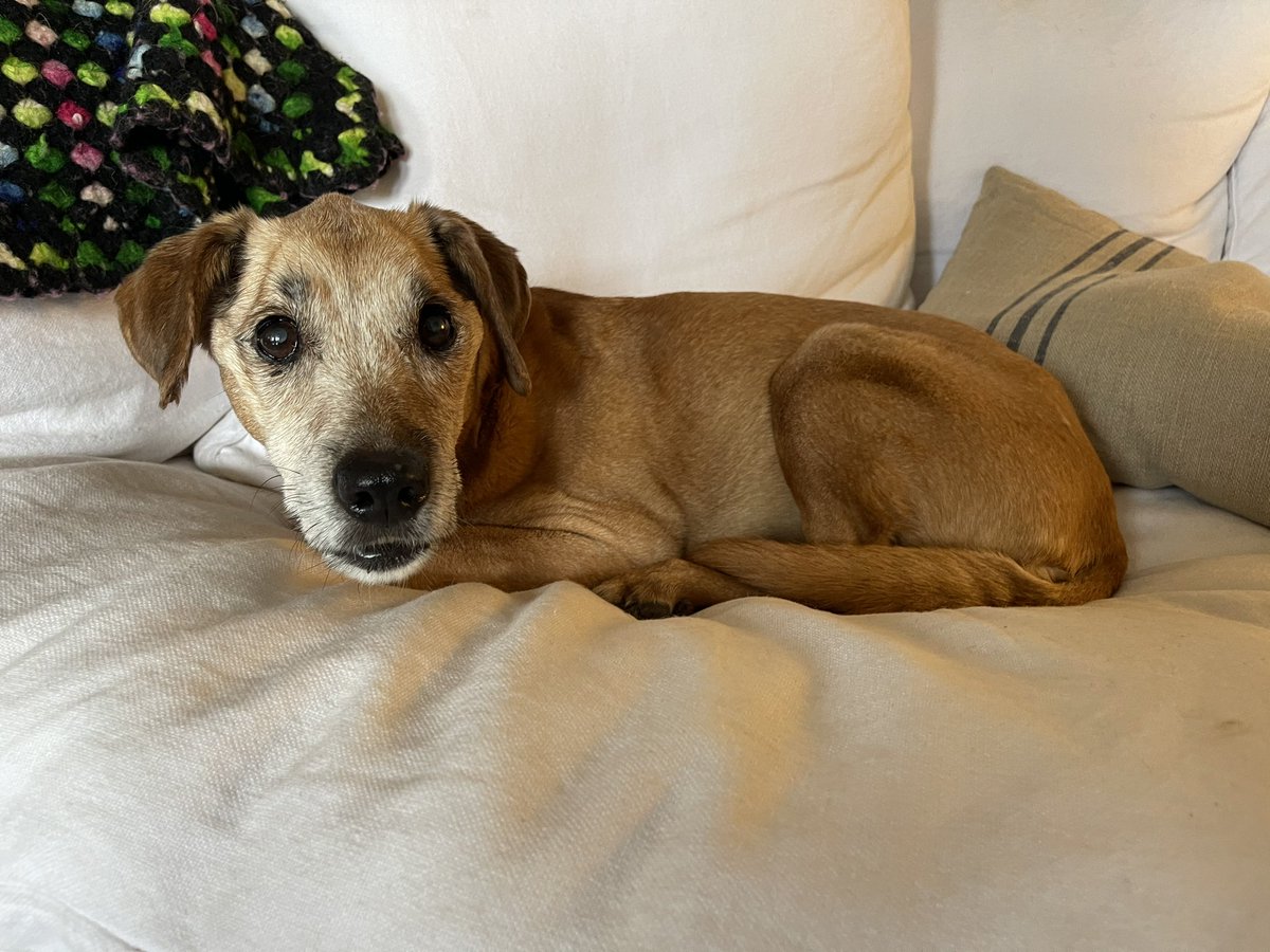 Craig Bierko tweet media