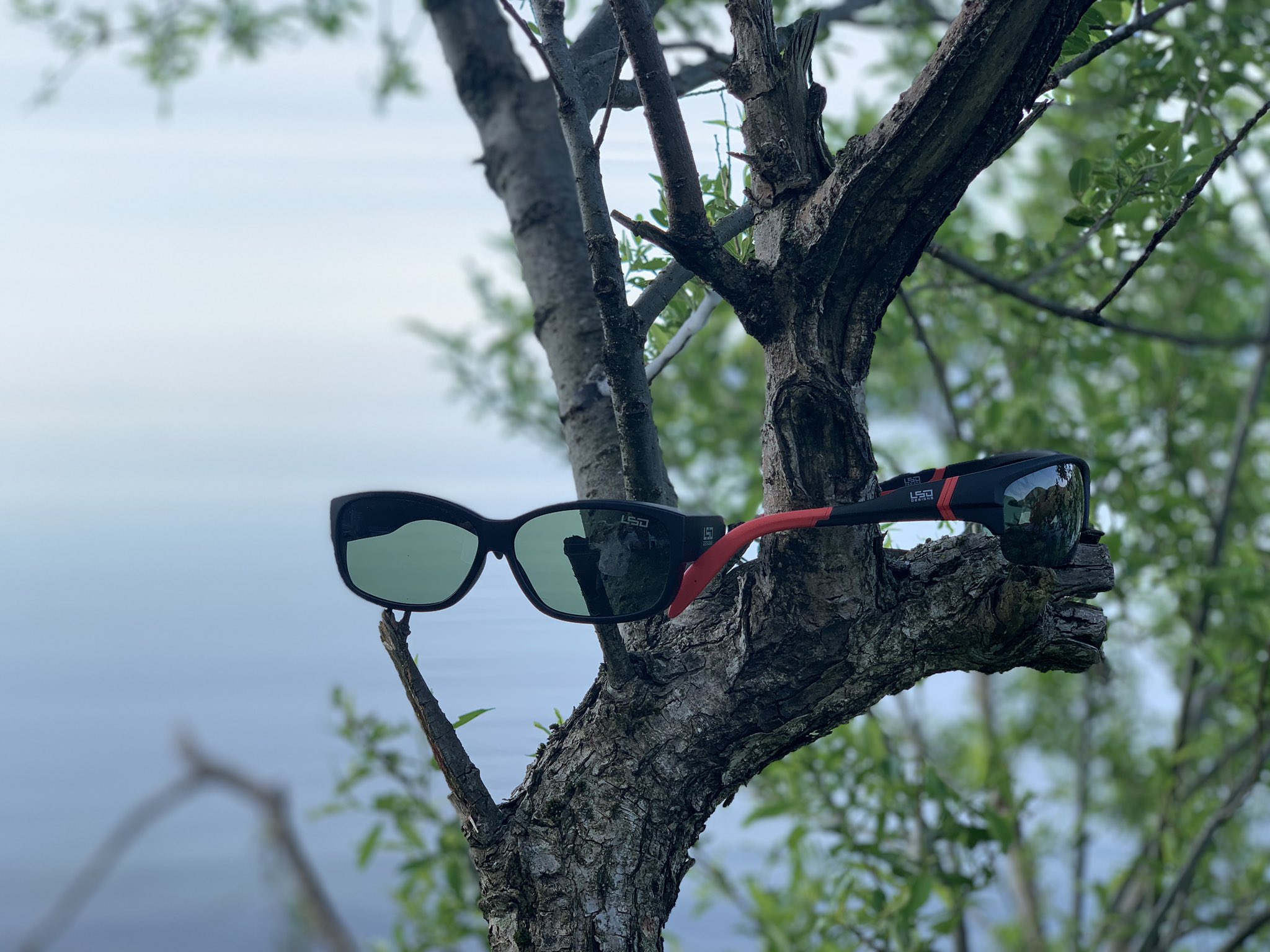 L S D Designs Polarized Sunglass 21 ウィングベンド オーバーグラスタイプ2 Japandesign Lsddesigns Lsdデザインズ 釣り 偏光 サングラス 偏光レンズ Uvカット 紫外線対策 Uv対策 ポイ捨て禁止 釣りガール 釣りボーイ 釣り女子 釣り