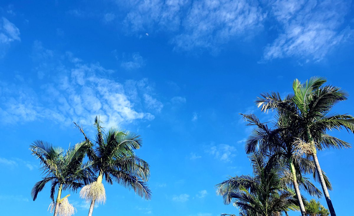 DuncanPeggMP's tweet photo. Fantastic to see a perfect early May morning in Brisbane for such an important day! #LabourDay https://t.co/IqtNvR0wxj