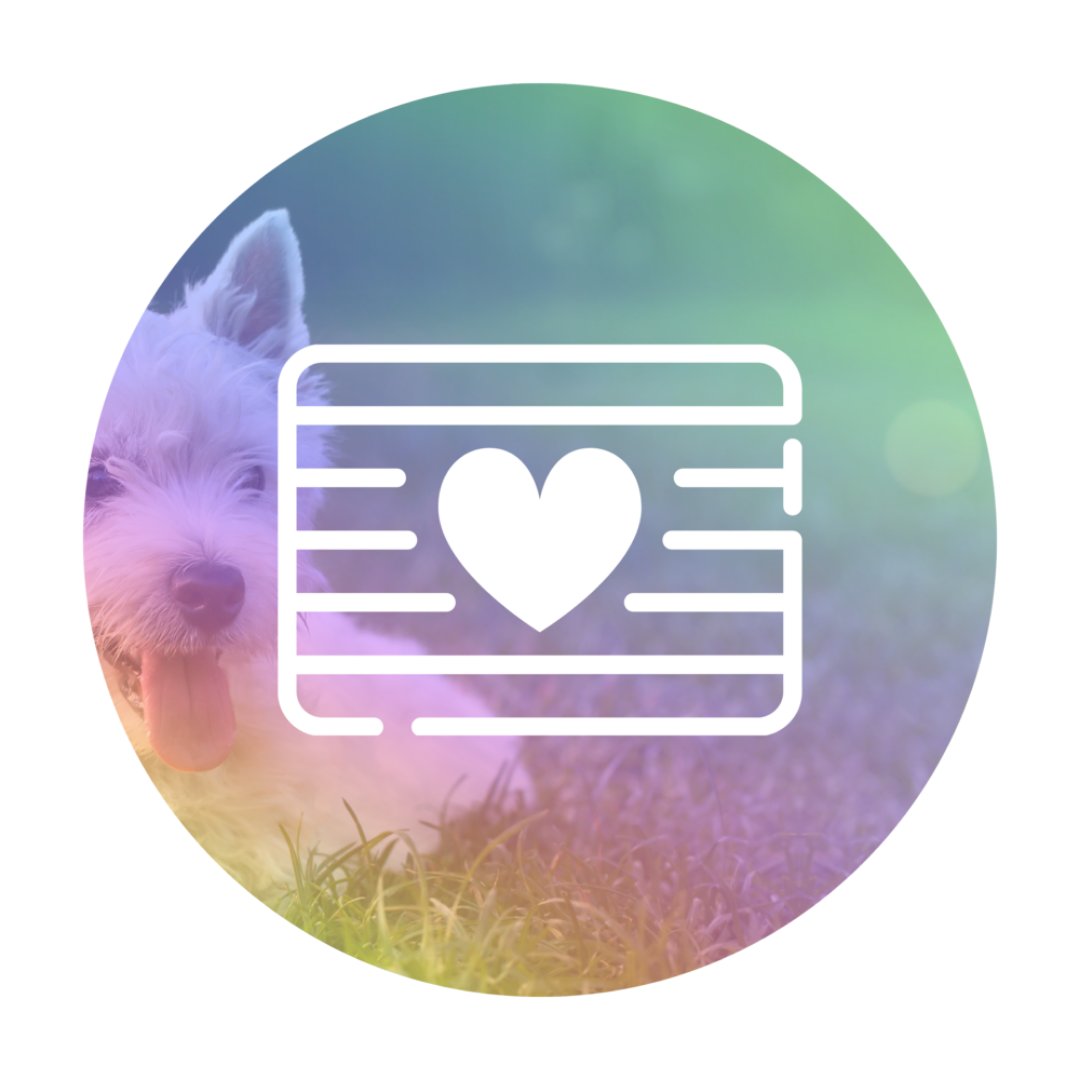 pawstoremember's tweet photo. After our pets are gone, it’s important we keep their memory alive. We partner with a variety of trusted &amp; talented artisans to create the perfect keepsake in memory of your pet. From books to jewelry—and so much more. Visit the link below to learn more.
 
https://t.co/nhI1YnxocQ https://t.co/QkODFBWkzW
