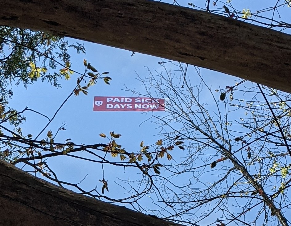 One of the flying things seen at the park today. #PaidSickDays