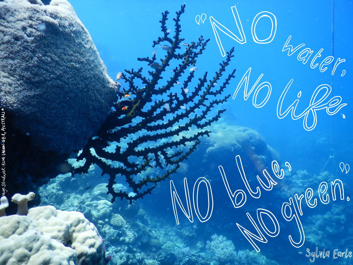 "With every drop of water you drink, every breath you take, you're connected to the sea. No matter where on Earth you live" - Sylvia Earle 🌊🐟🦈🐠🦐🐳

#MondayMotivation #oceanconservation #icrsstudents