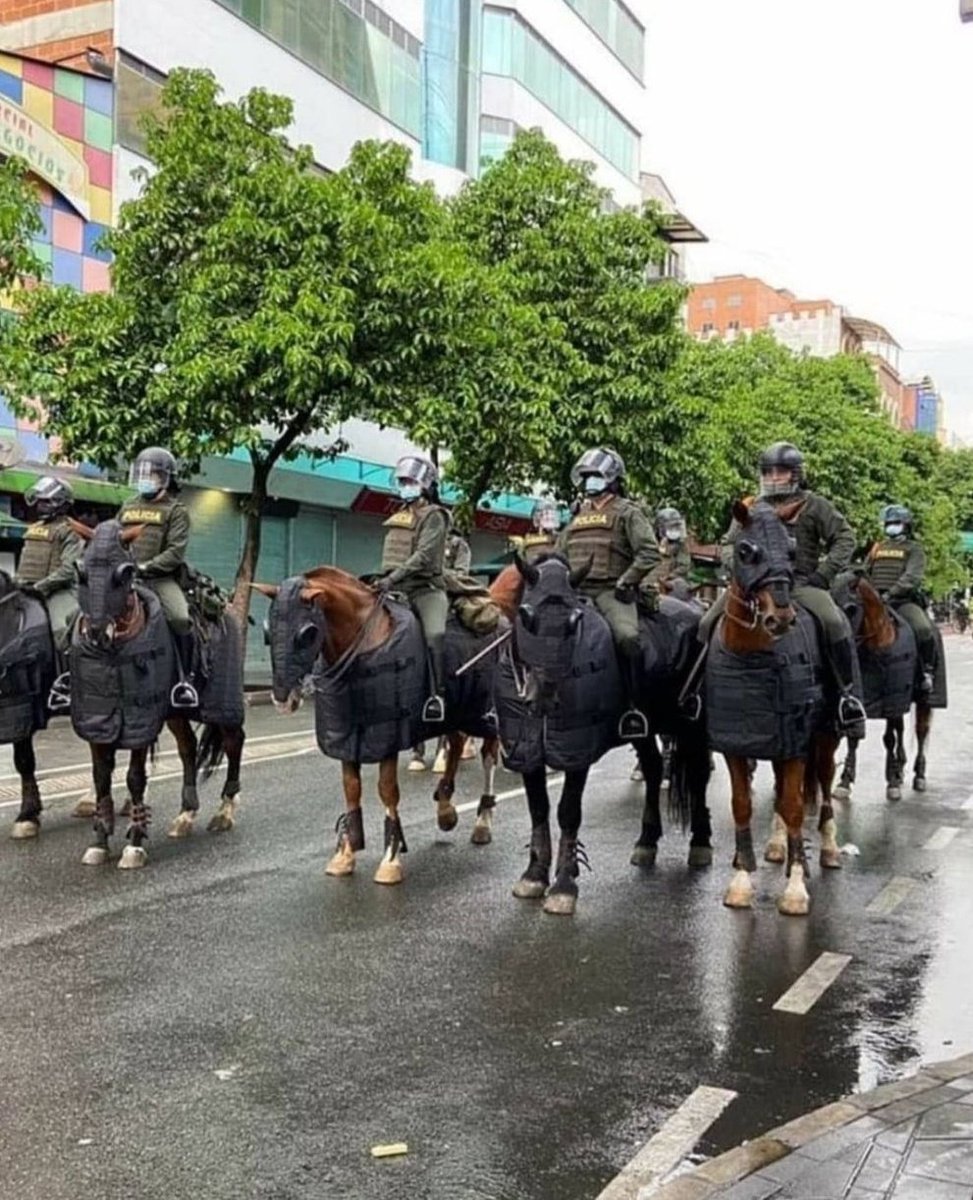 And now, to protect themselves, they are using horses. I am really wondering how messed up is someone's head to risk those innocent animals just because you can't handle a country properly?  @IvanDuque cobarde. #ParoNacional2M