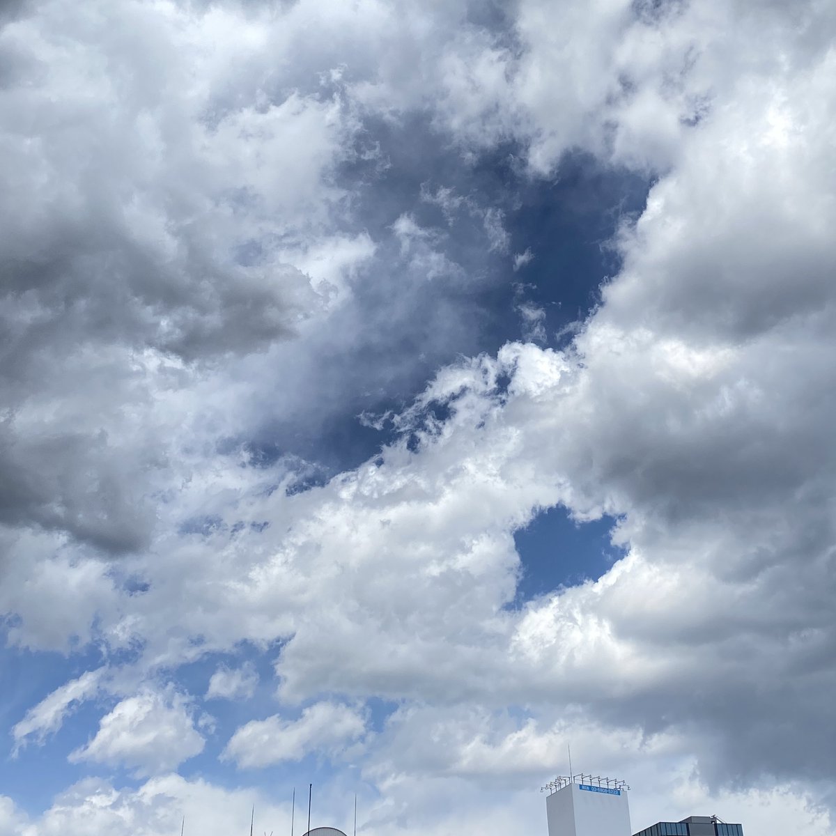 ハートの空を見つけました❣️
少しだけ散歩中です✨😊