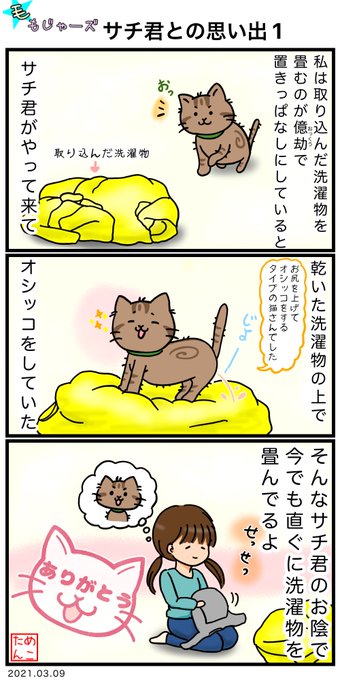虹の橋を渡った愛猫へ を含むマンガ一覧 古い順 ツイコミ 仮 虹の橋を渡った愛猫へ を含むマンガ一覧 古い順 ツイコミ 仮
