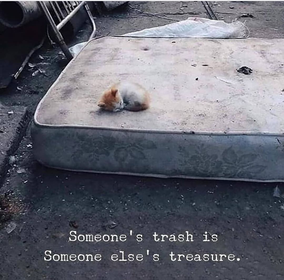 imrealbhatnagar's tweet photo. Value your belongings
#valueit https://t.co/dLKe4eUHNi
