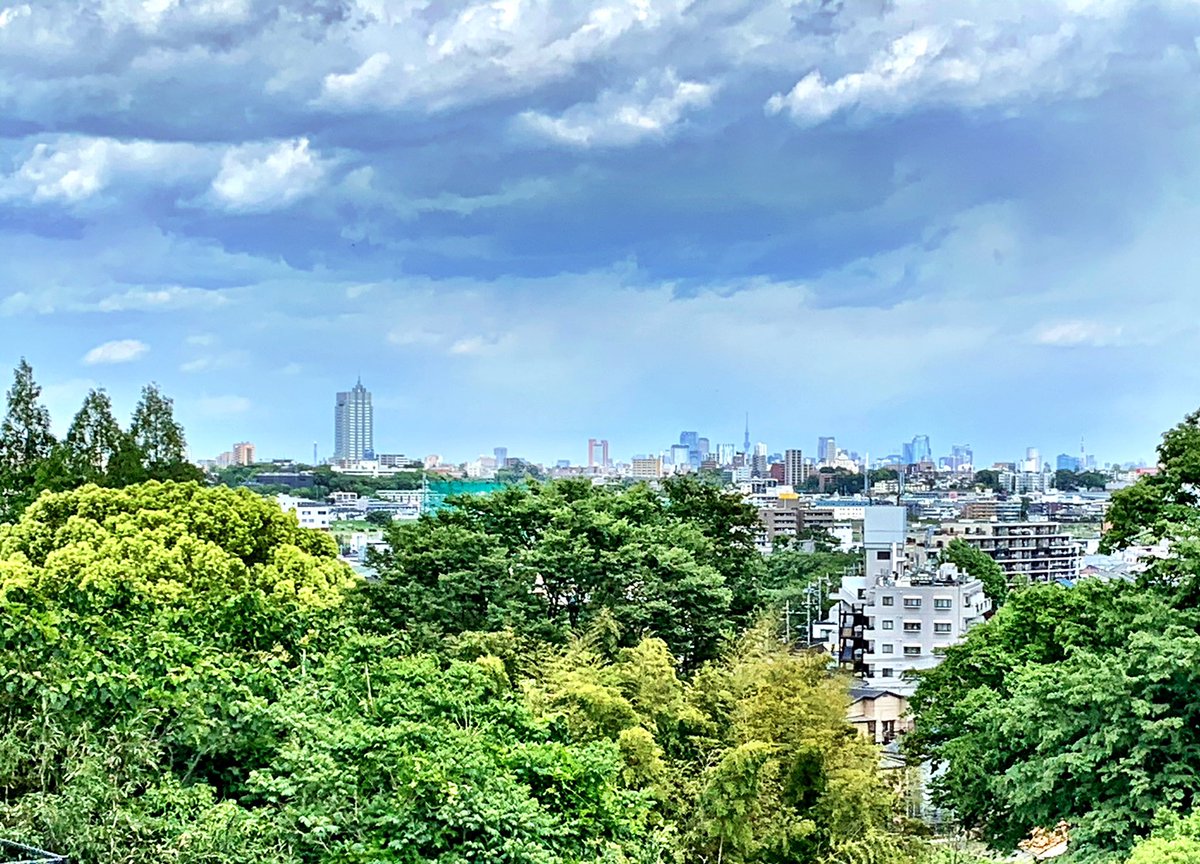 BackinTokyo's tweet image. A view to Tokyo