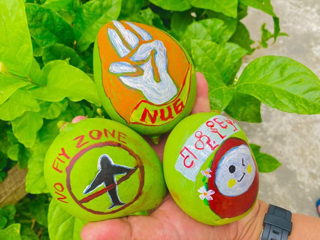 It is mango season in Myanmar n youths’ creations of Spring Revolution illustrations on Mangoes give important messages. No Fly Zone is what we r demanding urgently for the sake of refugees in Kachin n Kareen State.

#May3Coup 
#WhatsHappeningInMyanmar
