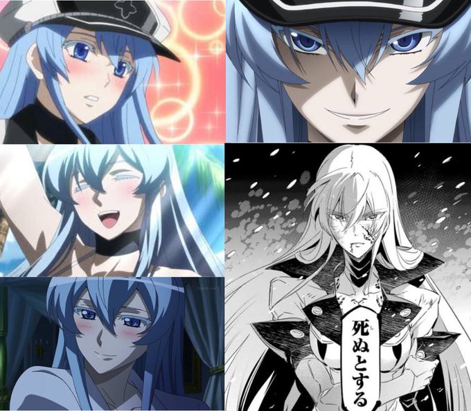 エスデスのtwitterイラスト検索結果 古い順