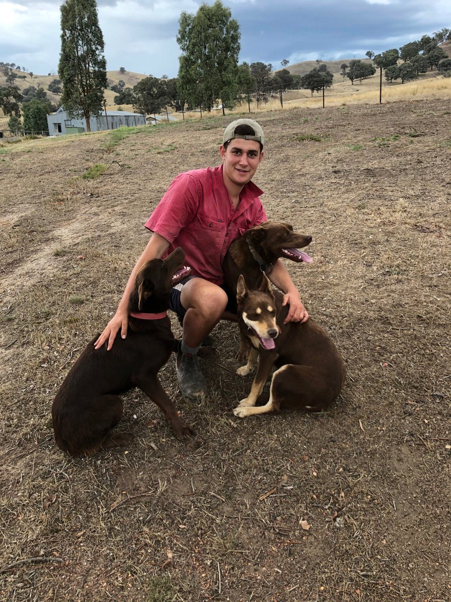 Meet James Cox, 2020 Young Farmers Scholarship recipient.  
 
James is using his funds to complete studies to help him to build a sustainable farming business.  
 
Applications for the 2021 Young Farmers Scholarship program are now open. Find out more at vic.gov.au/youngfarmers