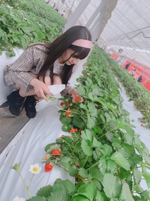 Twitterのコスプレ画像7