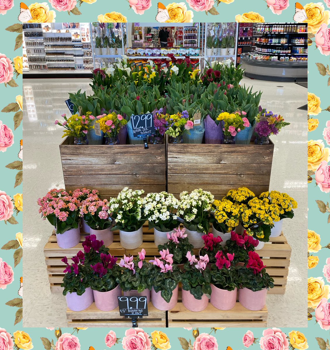 Rochester South is blooming with Mother’s Day plants! Can’t wait to see the displays grow over the week 💐 Nice job TL Rebecca & ETL Mychal!#teamtarget #T2321 #D111 #G196 #R100 #proudFBC @emily_lindaaaa @Le_Hulett @lizzybauer_TGT @spyke703