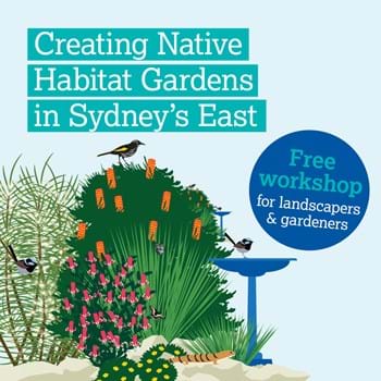 StoneSetPaving's tweet photo. A reminder for the Landscapers and Landscape Architects on tomorrows event in Sydney. 'How to incorporate much needed native habitat into garden design' by the Australian Institute of Landscape Designers and Managers. https://t.co/BUV6cdO0cM https://t.co/sJB9xn8NVE