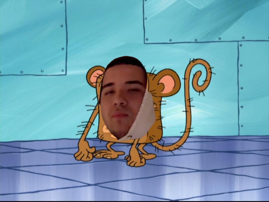 Zets___'s tweet image. Part of the monkey family! #monkeybrothers 😎👊