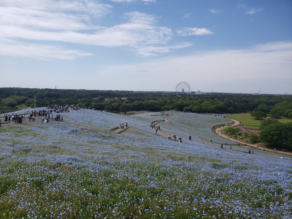 Maki Danelaion Twitter