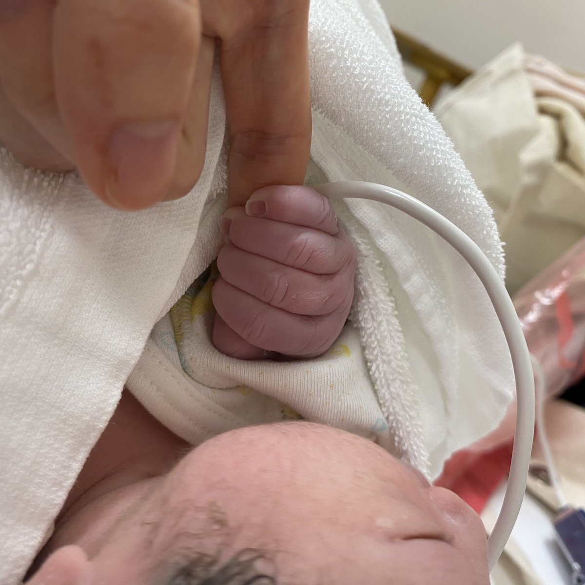 ぴすけ🐙☺︎祝4y🎀 tweet media