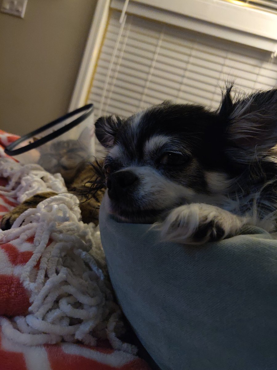 yeah we're just watching jumanji