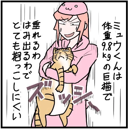 実際の大きさに合わせて描くとこんな感じですねww #ニャンコ #まんが #マンガ #猫  #ねこ #猫あるある #猫漫画 #ペット #飼い主 #エッセイ漫画 #キャット #ねこのいる生活 