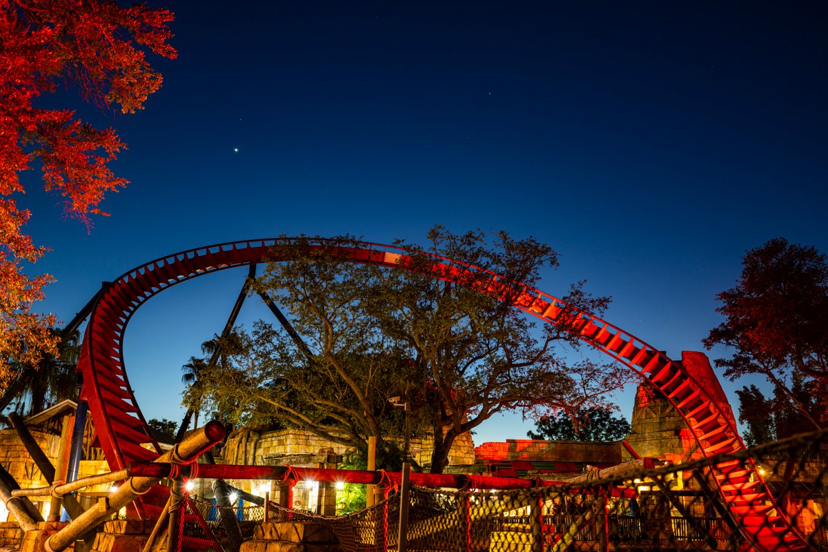 VisitTampaBay's tweet photo. The entire Tampa Bay area is celebrating National Travel &amp; Tourism Week and the #PowerofTravel.

@BuschGardens joins us in recognizing how significant travel, tourism, meetings &amp; events are to our lives and local economies by lighting Shiekra in RED for #nttw21 https://t.co/SjfrbWumi5