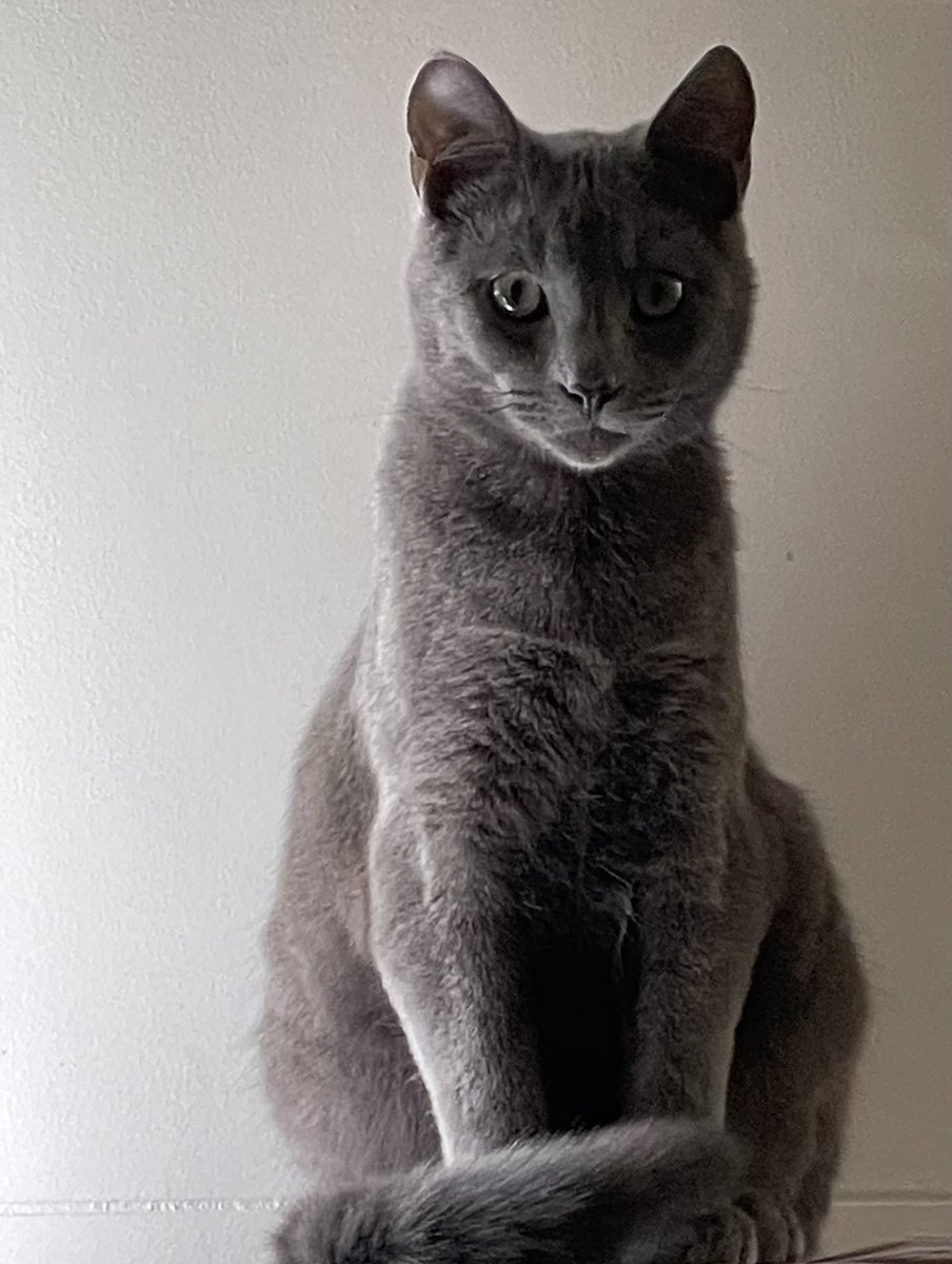 Blaine Rincon (@blainerincon) on Twitter photo βWhen you look this good, no filter is needed.β - The Majestic Spike
<a href="/planetpakua/">ππͺπ ππͺπ»π½π²π·πͺ π π² π
πΊπ¦ ππ§βπ</a> <a href="/TiffyLaw3/">π£π²π―π―π</a> <a href="/RoodJood/">Judith</a> <a href="/littlekatmom/">Marshaπ»</a>
<a href="/kat3796/">Saint Kat & Gibbs π¬π§ πΊπ¦</a> <a href="/Miss_1999/">Christy Rach</a> @LilithTheCat999 <a href="/thechrisbarron/">Chris Barron</a> <a href="/LouDPhillips/">Lou Diamond Phillips</a> <a href="/seangunn/">Sean Gunn</a>
<a href="/TonyTodd54/">Tony Todd</a> <a href="/KierstenWarren/">Kiersten Warren</a> βWhen you look this good, no filter is needed.β - The Majestic Spike
<a href="/planetpakua/">ππͺπ ππͺπ»π½π²π·πͺ π π² π
πΊπ¦ ππ§βπ</a> <a href="/TiffyLaw3/">π£π²π―π―π</a> <a href="/RoodJood/">Judith</a> <a href="/littlekatmom/">Marshaπ»</a>
<a href="/kat3796/">Saint Kat & Gibbs π¬π§ πΊπ¦</a> <a href="/Miss_1999/">Christy Rach</a> @LilithTheCat999 <a href="/thechrisbarron/">Chris Barron</a> <a href="/LouDPhillips/">Lou Diamond Phillips</a> <a href="/seangunn/">Sean Gunn</a>
<a href="/TonyTodd54/">Tony Todd</a> <a href="/KierstenWarren/">Kiersten Warren</a>