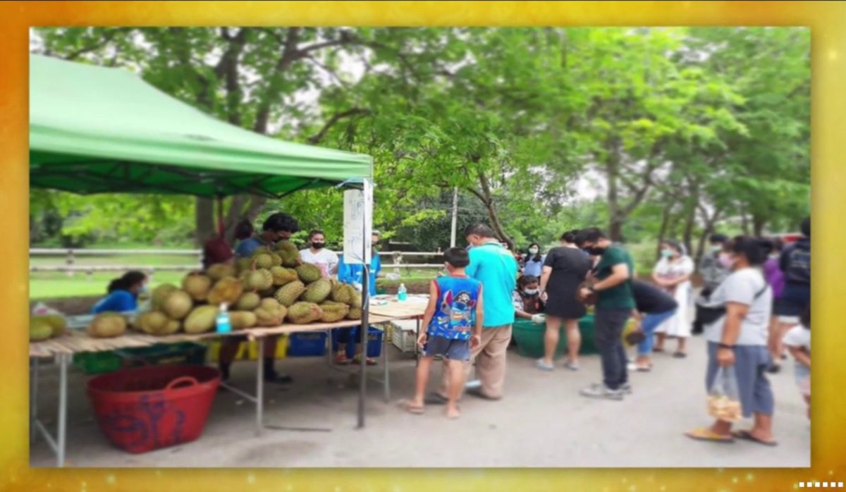 Shi_147's tweet image. ✨💛 ในหลวง​ ทรงมีพระบรมราชานุญาต​ให้นำพื้นที่บริเวณ​ลานจอดรถ​   พระตำหนักสิริยาลัย ​จ.​พระนครศรี​อยุธยา​ ให้ประชาชนใช้เป็นพื้น​ที่จำหน่ายผักผลไม้และผลิตภัณฑ์โอทอป คุณภาพ​ เพื่อช่วยเหลือ​ประชาชน​ที่ได้รับความเดือดร้อน​จากสถานการณ์​การ​แพร่ระบาด​ของเชื้อ​ไว​รั​สโค​วิด​19