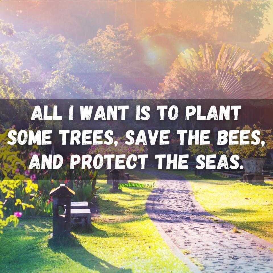 AustinBodywork's tweet image. 