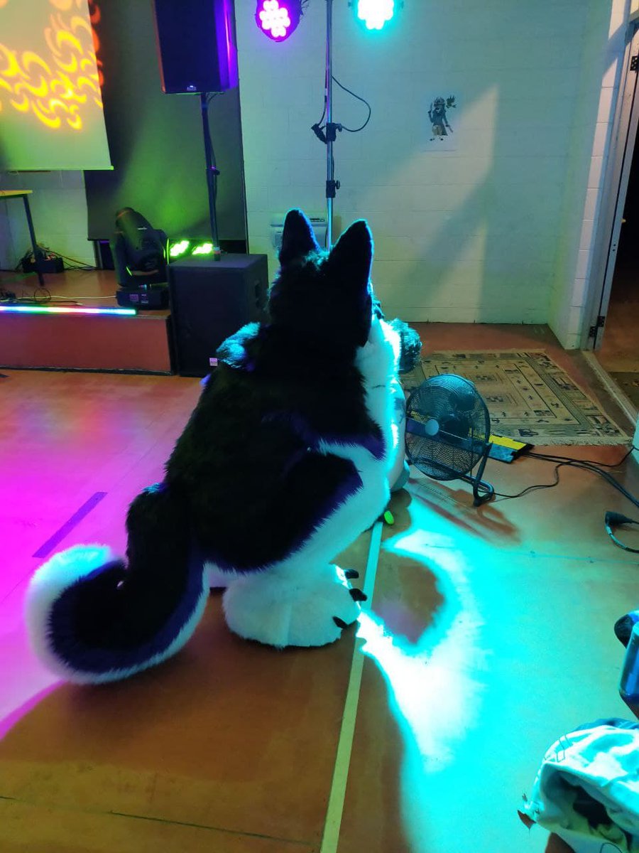 cheetor5923's tweet photo. I'm a little dog and I dance dance dance #sopaws #furcon https://t.co/zb9x9zr7f1