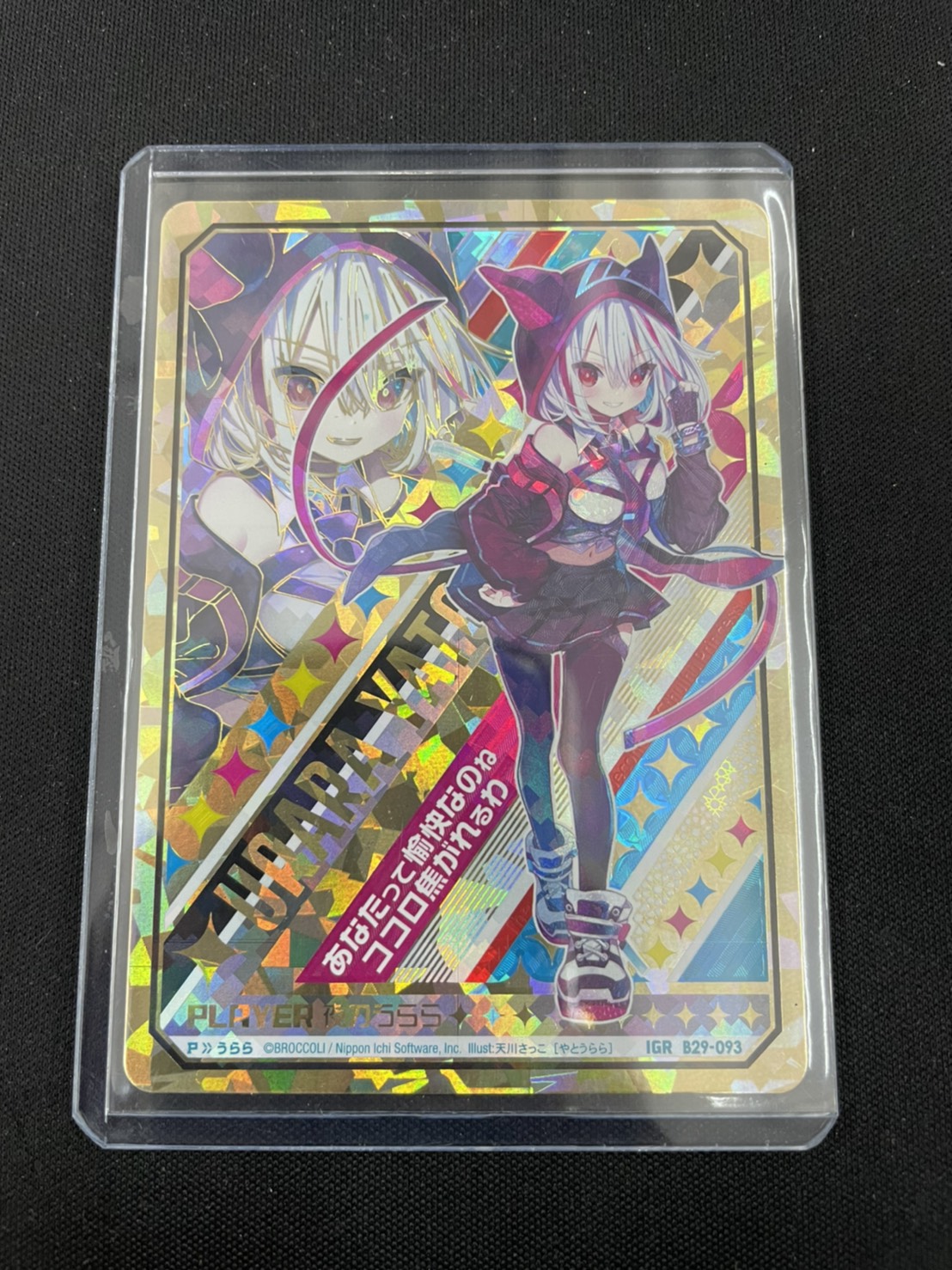 Z/X B29 夜刀うらら IGR
