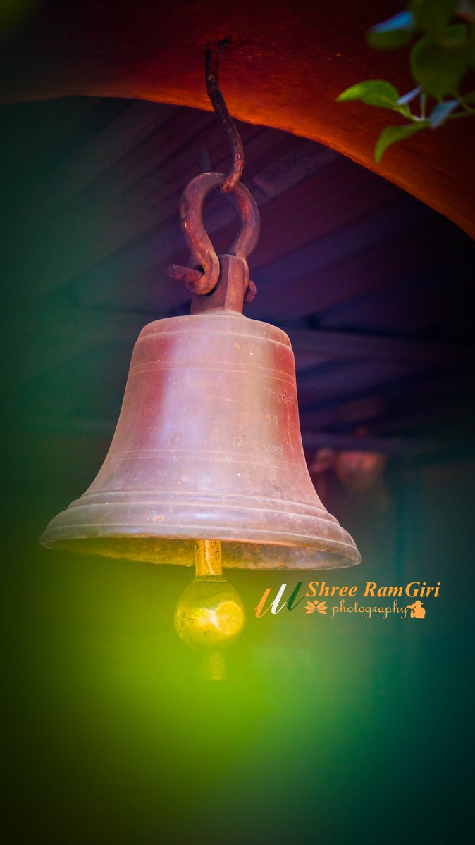 Har Har Mahadev 💛
#nature_perfection #hellohappyworld #naturediversity #naturehealing #gsdpuppies  #nature_obsessions #naturezalinda #landscape #kalsubai #paraglider #naturescolors #waterresources #natureshots #natureaquarium #picofnature #beautifulnature #landscapehunter