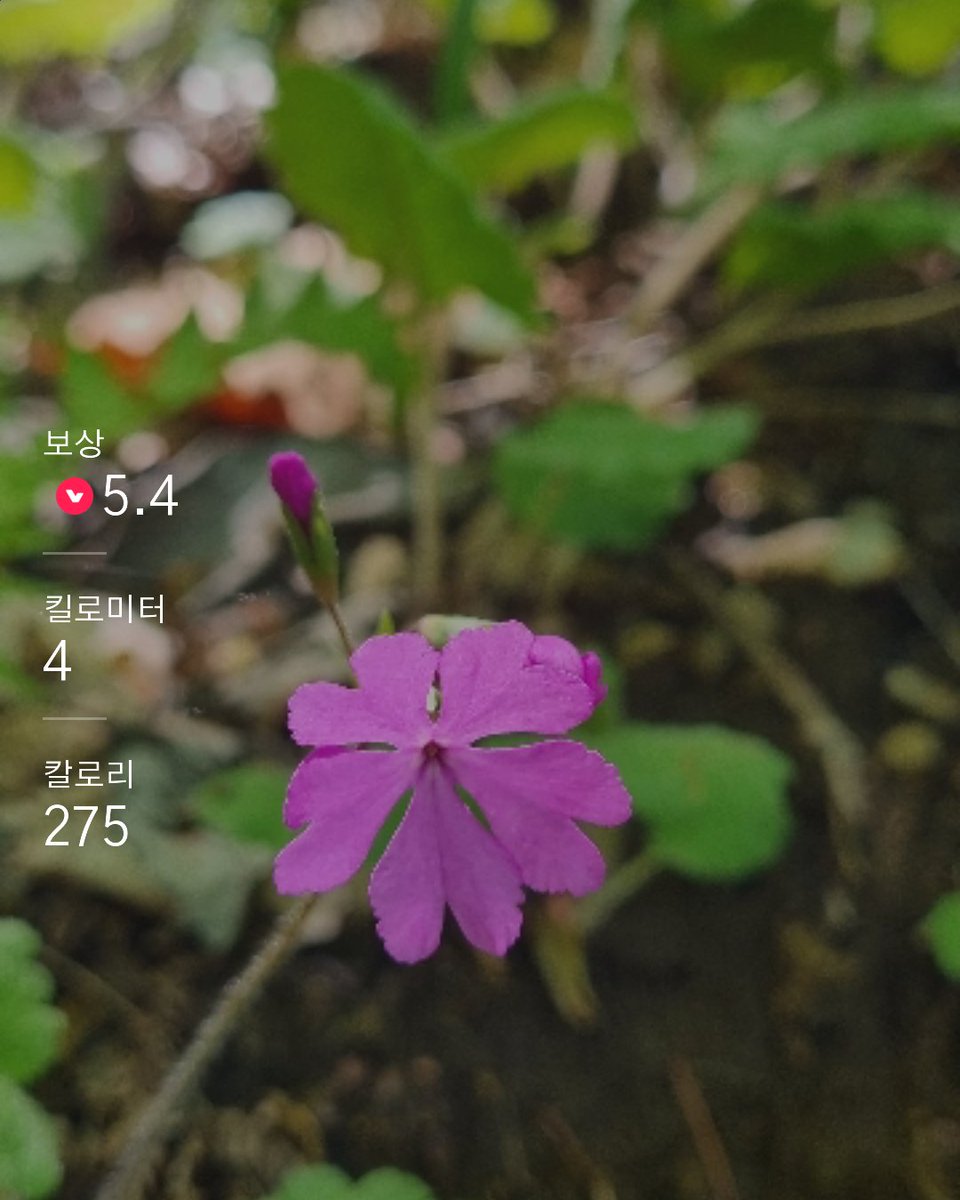 Sharing is caring!: lymporun.page.link/A6NxD