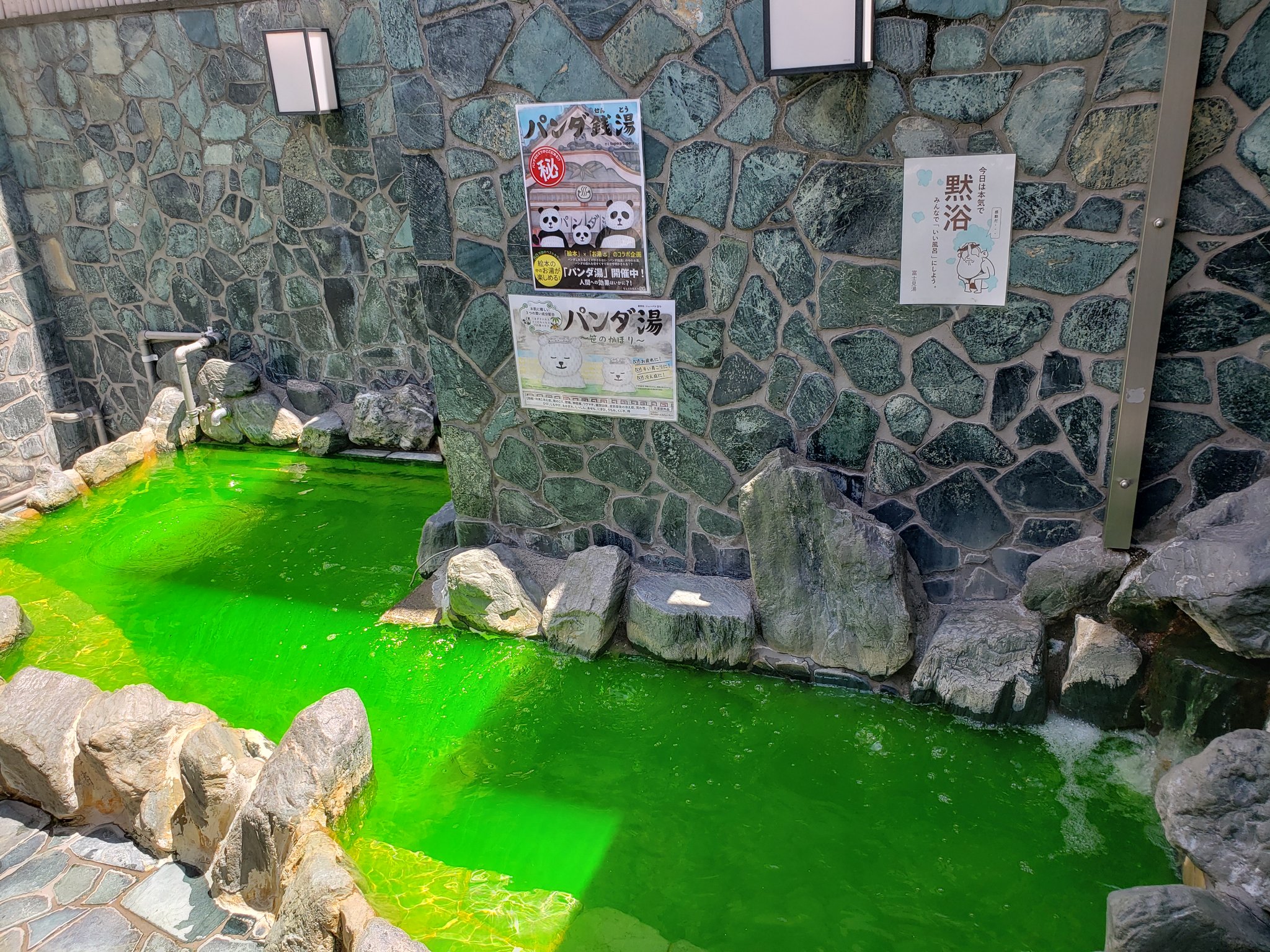 昭島 富士見湯 本日は定休日ではなく営業しています 巷で噂の パンダ湯 露天に一歩でると鮮やかな緑色と笹の香りが サウナの提供は現在中止していますが 熱いお風呂と水風呂でしっかり整えます 昭島 富士見湯 銭湯 パンダ湯 T Co