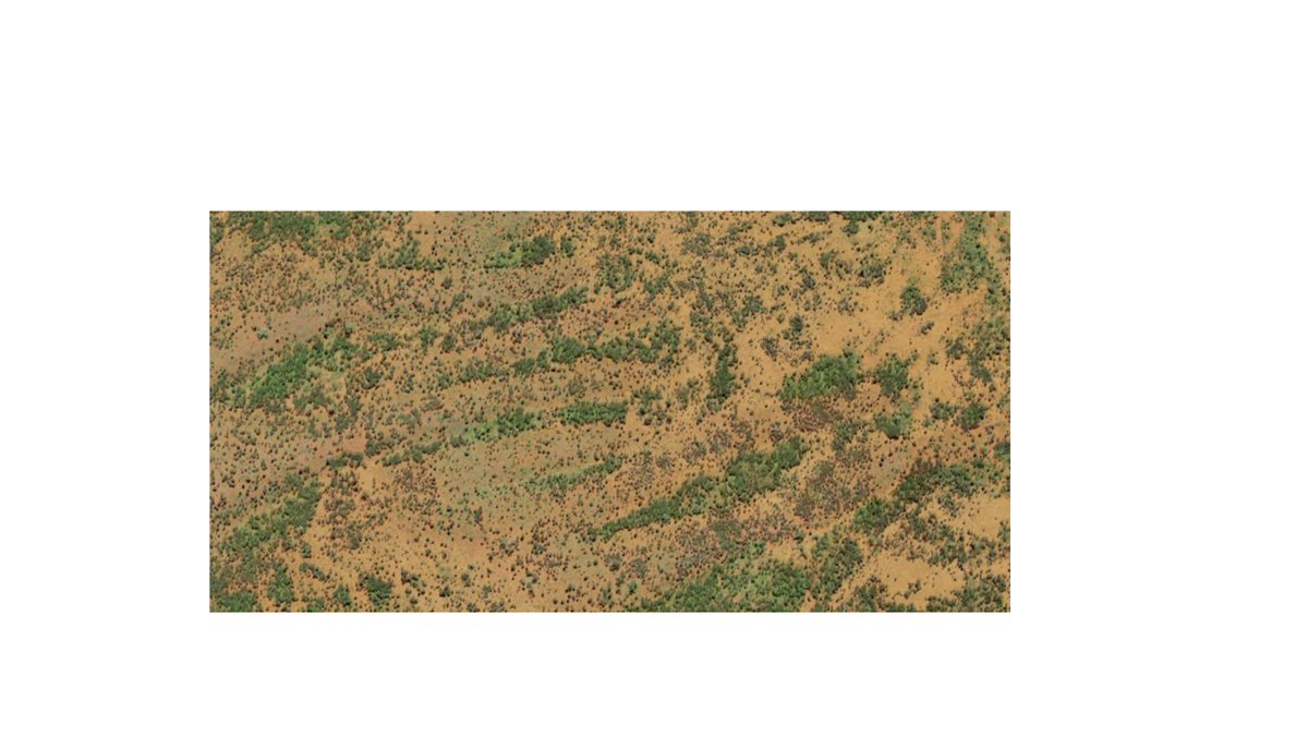 David John Eldridge (@dj_eldridge) on Twitter photo Early biocrust research at <a href="/CSIRO/">CSIRO</a> Lake Mere Station from the early 1990s finally sees the light of day. Functional #traits of #biocrusts reinforce landscape-level patterning in mulga woodlands <a href="/jingyiding1/">Jingyi_arideco</a> <a href="/maxmallencooper/">Max Mallen-Cooper 🌿🌈</a> <a href="/CES_UNSW/">Ecosystem Science</a>
sciencedirect.com/science/articl… Early biocrust research at <a href="/CSIRO/">CSIRO</a> Lake Mere Station from the early 1990s finally sees the light of day. Functional #traits of #biocrusts reinforce landscape-level patterning in mulga woodlands <a href="/jingyiding1/">Jingyi_arideco</a> <a href="/maxmallencooper/">Max Mallen-Cooper 🌿🌈</a> <a href="/CES_UNSW/">Ecosystem Science</a>
sciencedirect.com/science/articl…